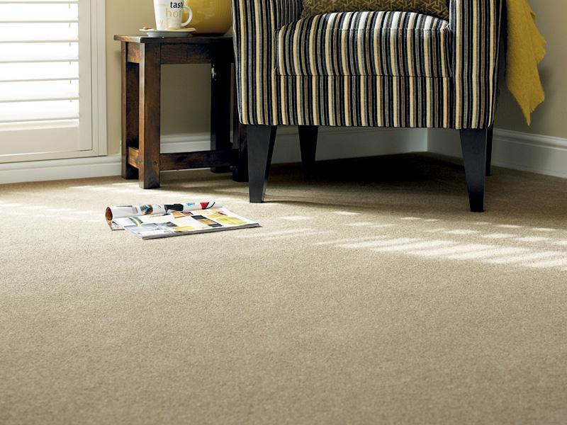 Victoria Carpets - Simply Heathers - Carpet