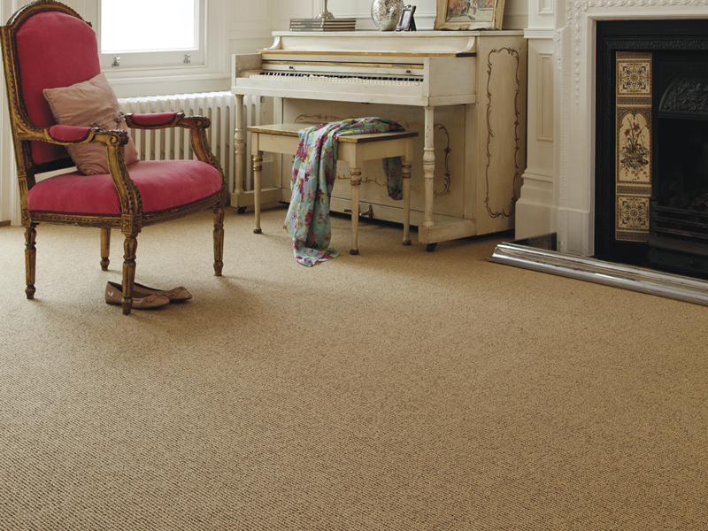 Axminster Carpets - Simply Natural Ribgrass in Straw Walnut - Carpet