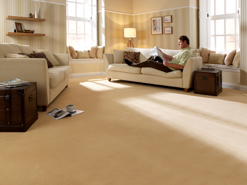 Bronte - Steve - Carpet