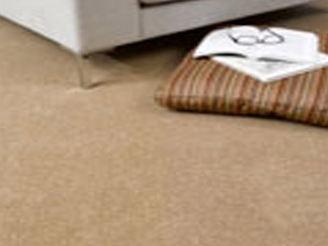 Telenzo - Others - Carpet