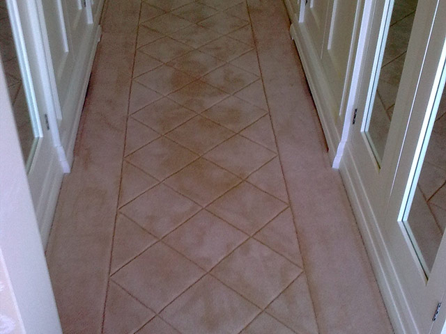 Trendy Tuft Carpets - Carved - Carpet