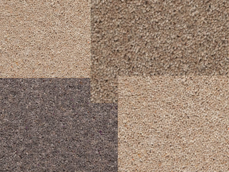 Kingsmead Carpets TwistPlus - Carpet