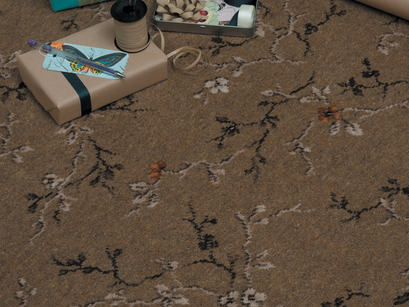 Ulster Carpets - Blossom - Bronze - Carpet