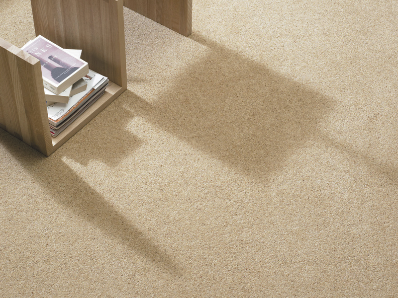 Ulster Carpets - Donegal Twist - Fawn - Carpet