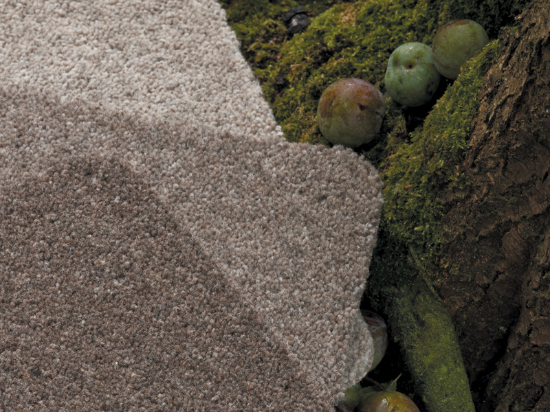 Ulster Carpets - Natural Choice - Kindling - Pumice &amp; Platinum - Carpet