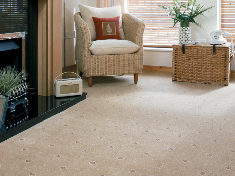 Ulster Carpets - Tazmin - Motif Camel - Carpet