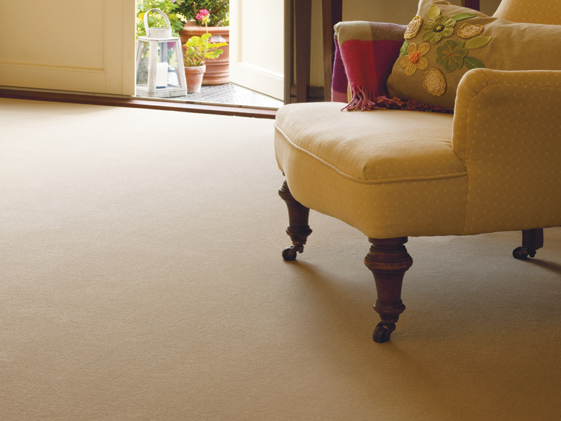 Ulster Carpets - Velvet - Mullion - Carpet