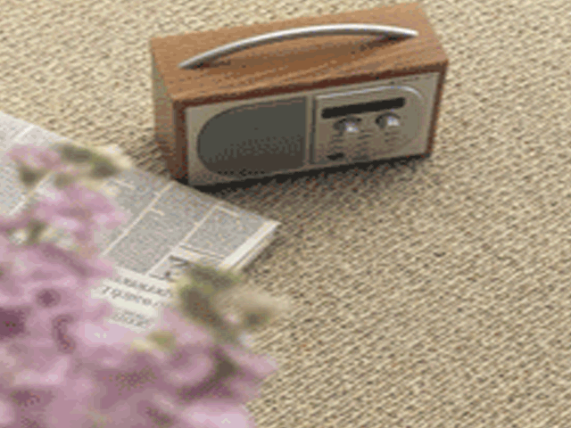 Woodward Grosvenor - Mandalay - Carpet - Wood Flooring
