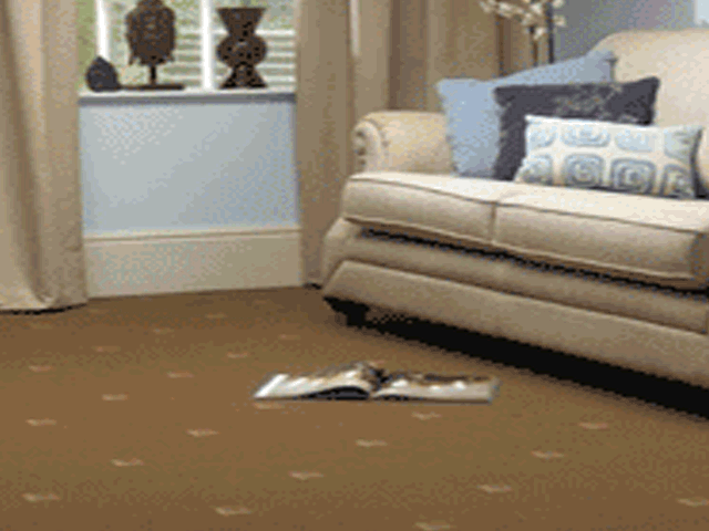 Woodward Grosvenor - Meridian - Carpet - Wood Flooring