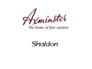 Axminster Carpets Shaldon - Carpet