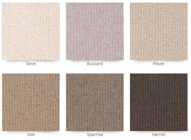 Belvedere Carpets - Kensington - Carpet