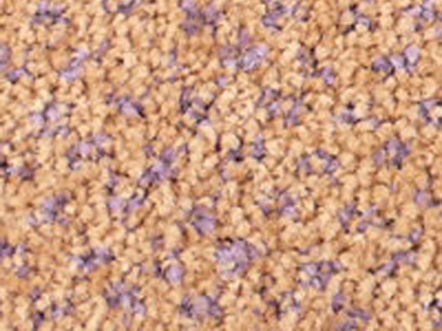 Joseph Hamilton Seaton Carpets - Universal Lite Design 1 - Carpet