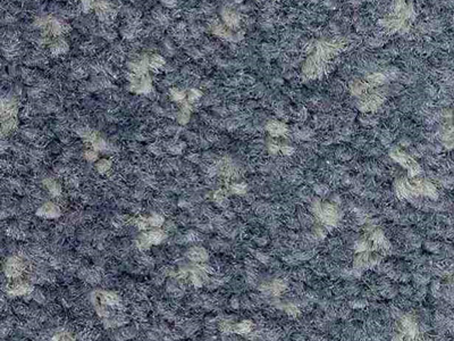 Joseph Hamilton Seaton Carpets - Prime Contender Design 2 - Carpet