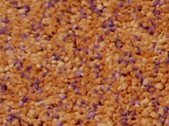 Joseph Hamilton Seaton Carpets - Universal Lite Design 2 - Carpet