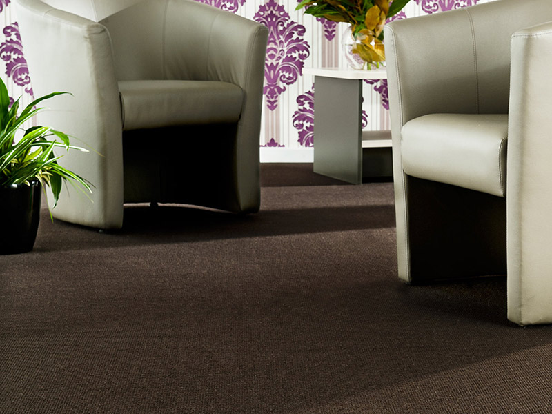 EC Group - Studio - Neutral - Carpet