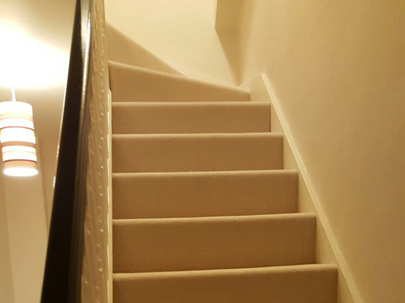 Carpet - Home 36747 - Carpet - Home - Residential