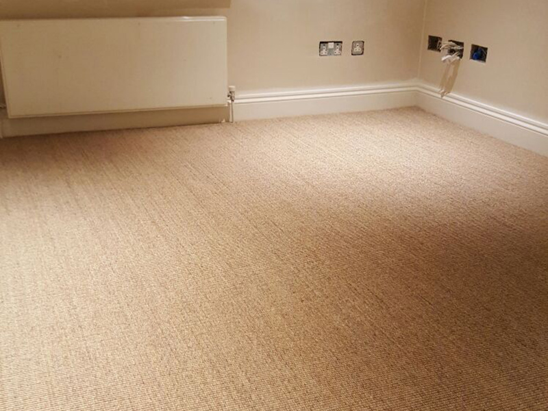 Carpet - Home 36448 - Carpet - Borough - Home - Residential