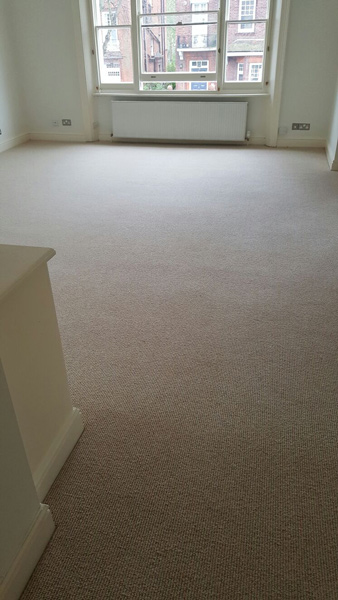 Carpet - Home 38141 - Carpet - Home - Residential