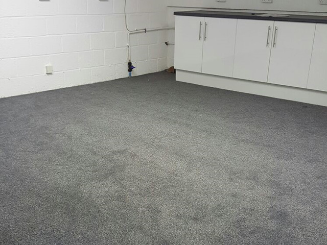 Carpet - Home 36038 - Carpet - Mayfair - Home - Residential