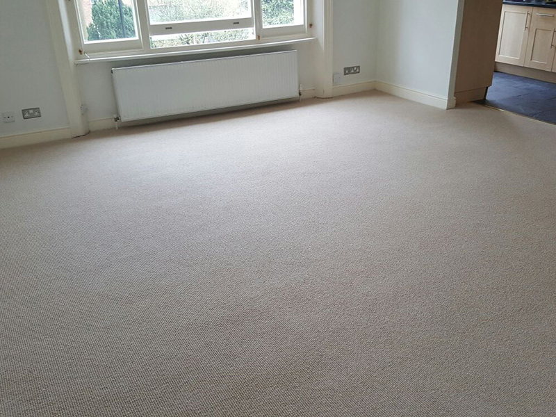 Carpet - Home 38141 - Carpet - Home - Residential