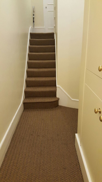 Carpet - Home 38136 - Carpet - Home - Residential