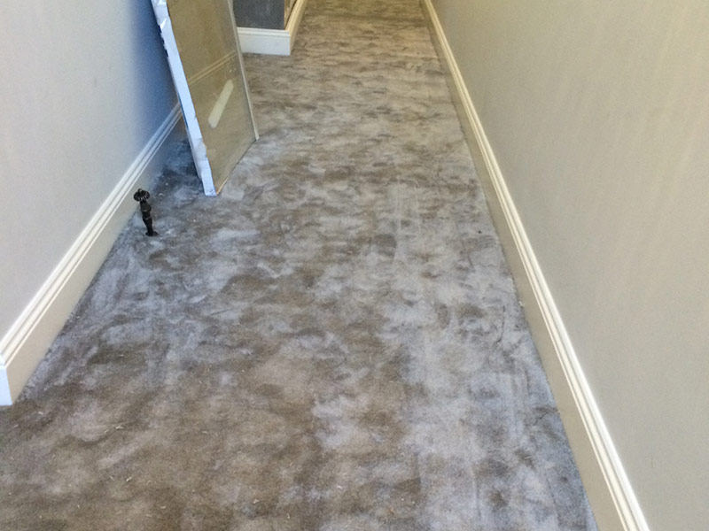 Carpet - Home 31570 - Carpet - Home - Residential