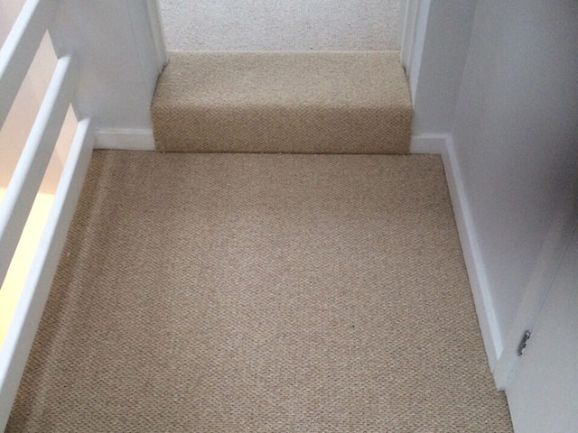 Carpet - Home 31920 - Carpet - Home - Residential