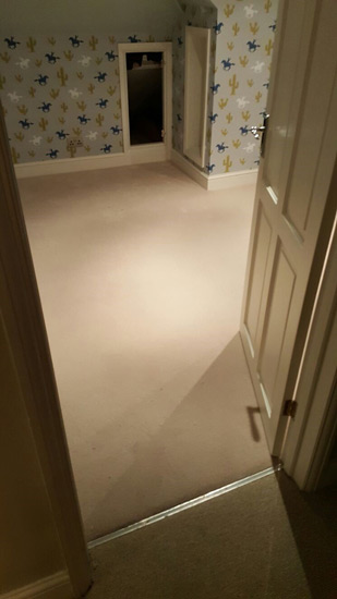 Carpet - Home 36042 - Carpet - Clapham - Home - Residential