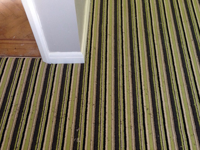 Carpet - Home 31915 - Carpet - Home - Residential