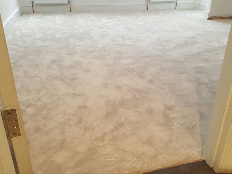 Carpet - Home 36699 - Carpet - Home - Residential