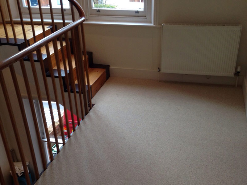 Carpet - Home 32377 - Carpet - Home - Residential