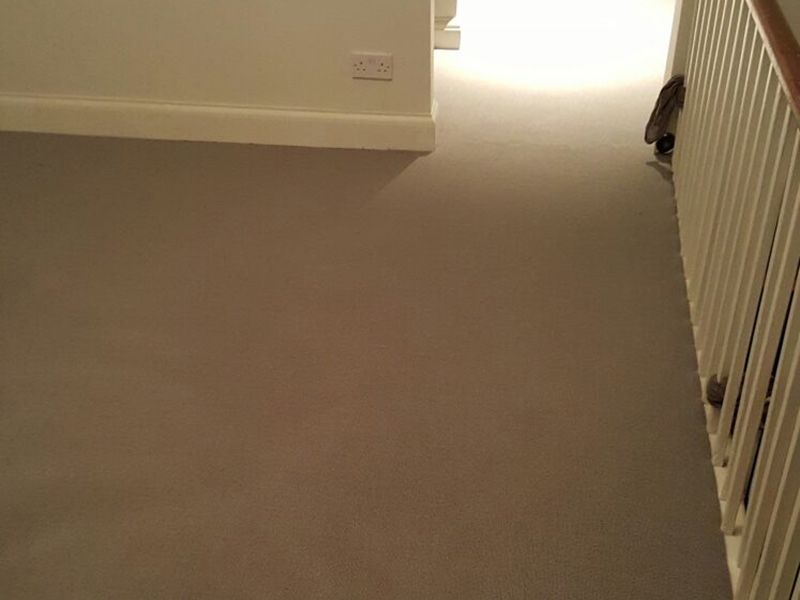 Carpet - Home 36206 - Carpet - Clapham - Home - Residential