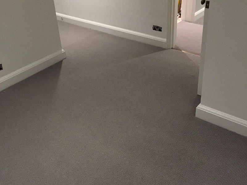Carpet - Home 36786 - Carpet - Home - Residential