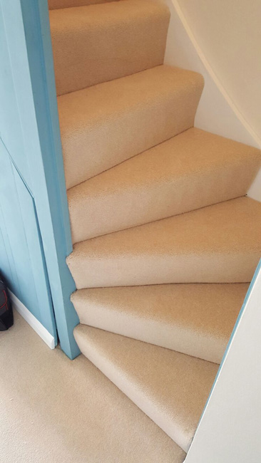 Carpet - Home 38397 - Carpet - Home - Residential