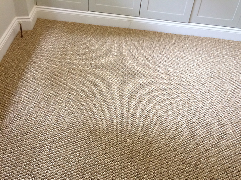 Carpet - Home 27029 - Carpet - Home - Residential