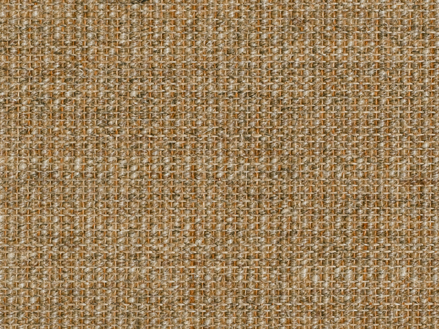 Crucial Trading - Sisal - City - Carpet