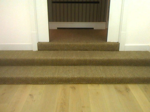 Steps - Carpet - Home - Residential
