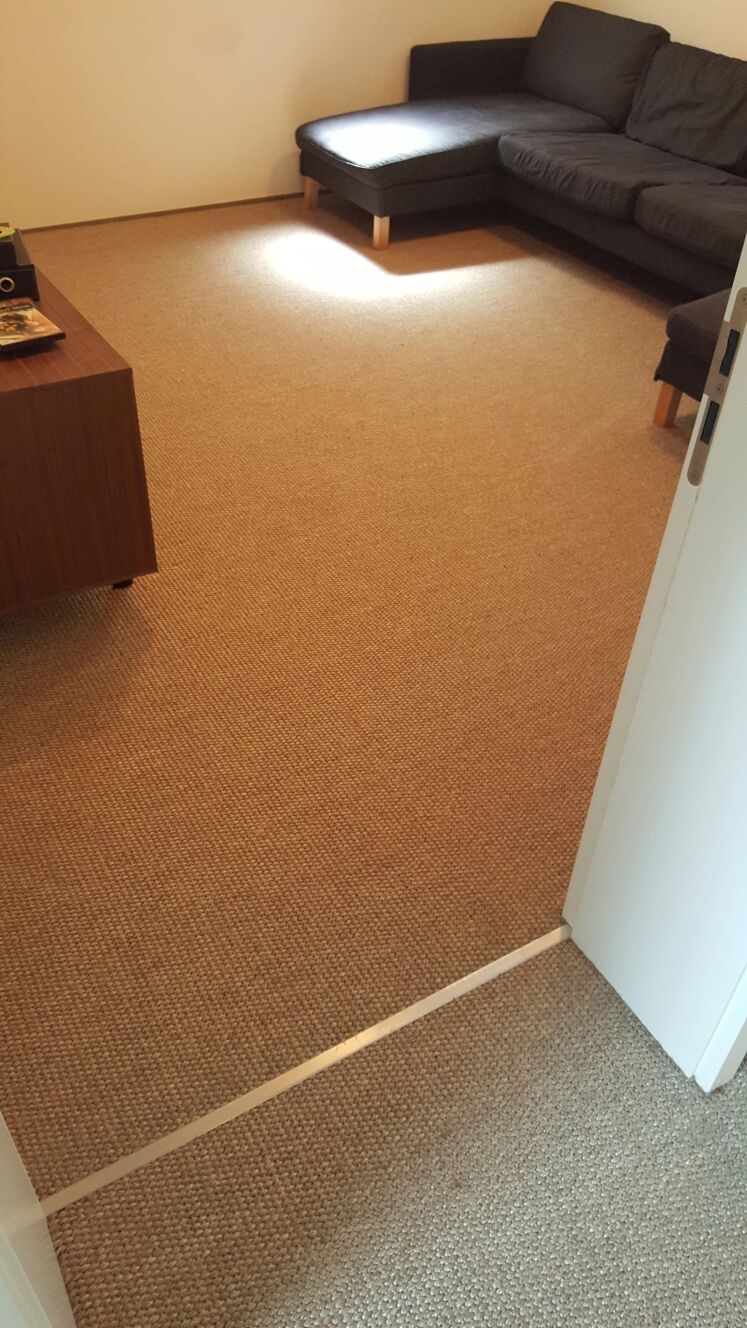 Carpet - Home 33964 - Carpet - Home - Residential