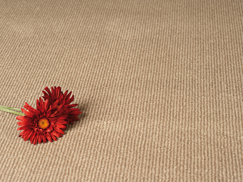 Westex Carpets – 002 - Carpet