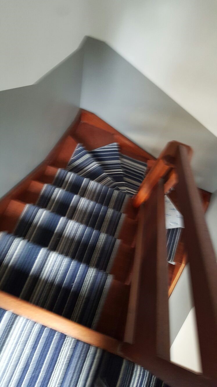 STRIPEY BLUE CARPET portfolio stairs 02