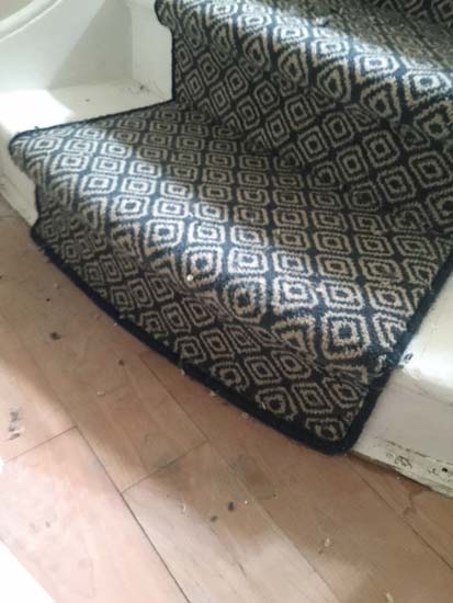 portfoio carpet stairs alternative quirky 09