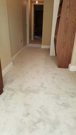 portfolio carpets living areas luxury carpet 01