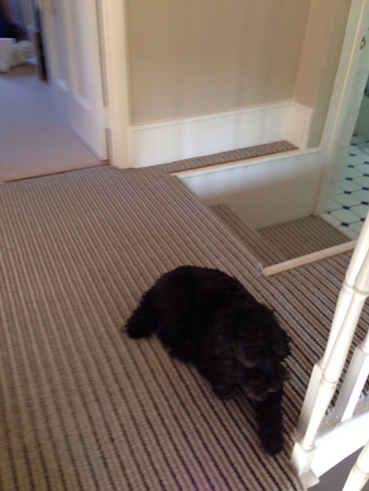 sideways stripe stairs carpet 4