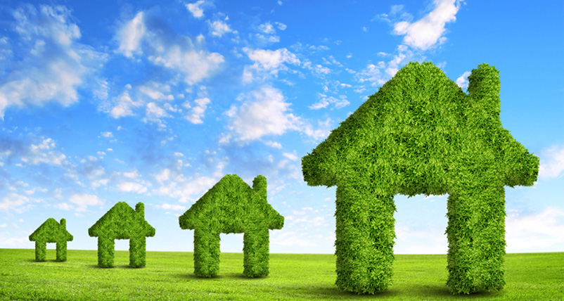 social-responsibility