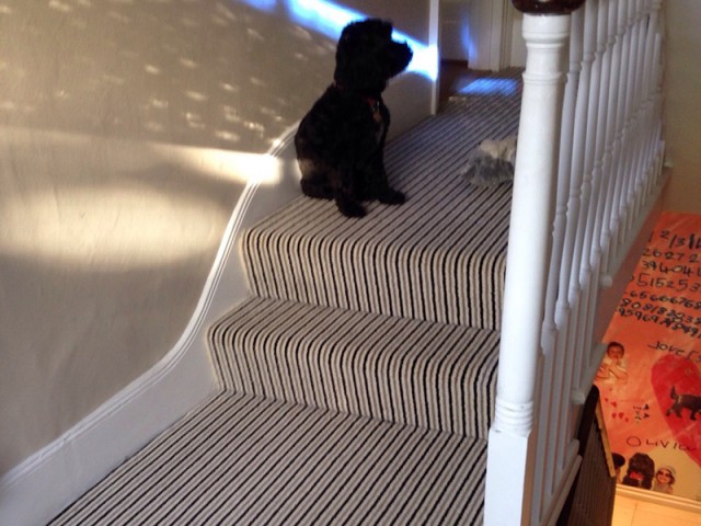 Striped Stair Carpet