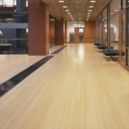 New Addition To The Flooring Group Commercial Division